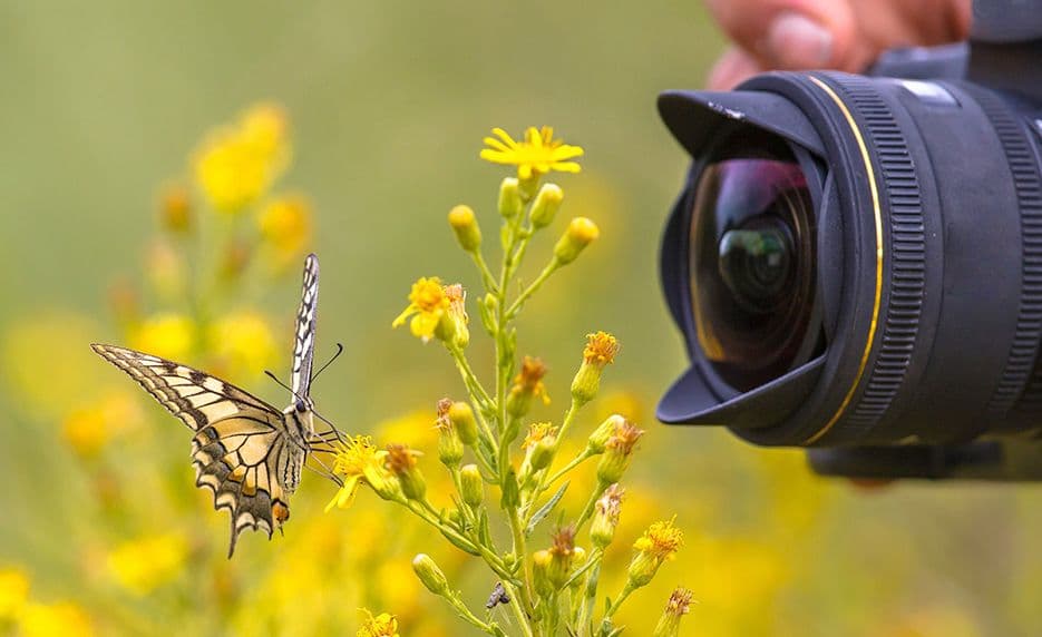 National Diploma in Digital Photography 